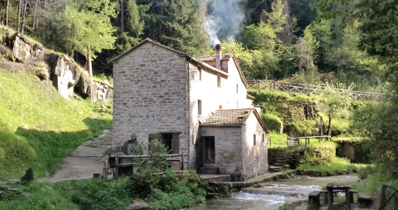 A Fiumicello sulle tracce dell'uomo